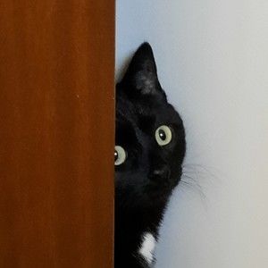 Meet your Posher, Mariah